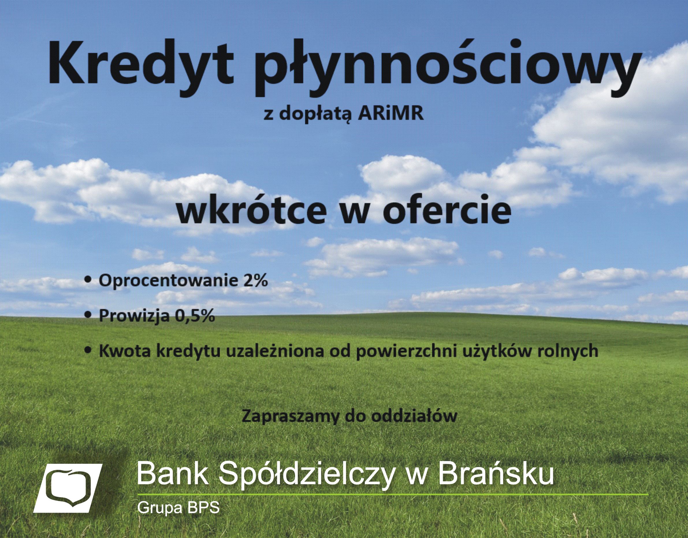 kredyt plynnosciowy kopia 1